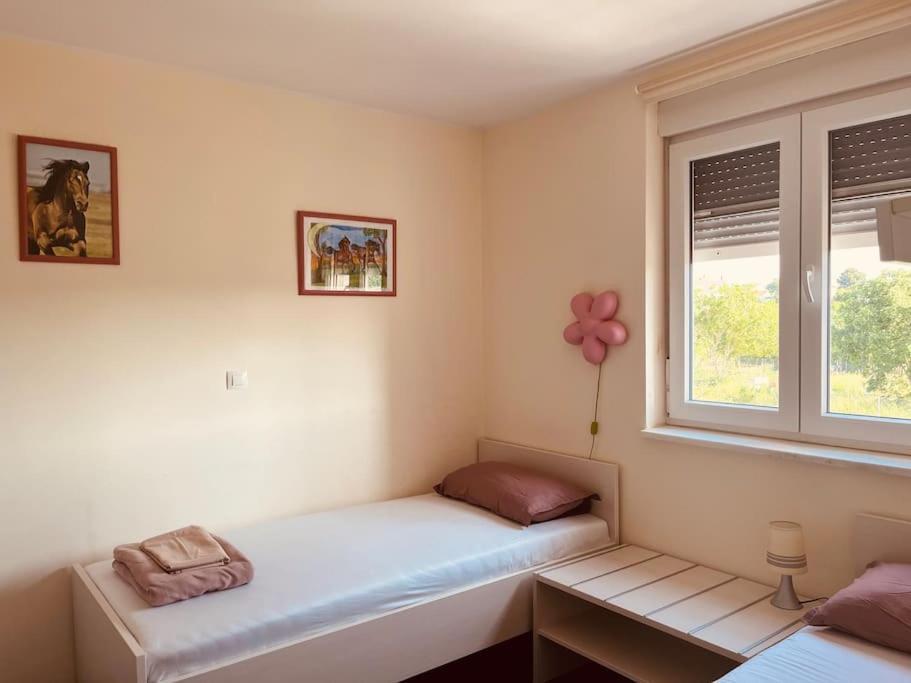 Mima Apartment พูลา ภายนอก รูปภาพ